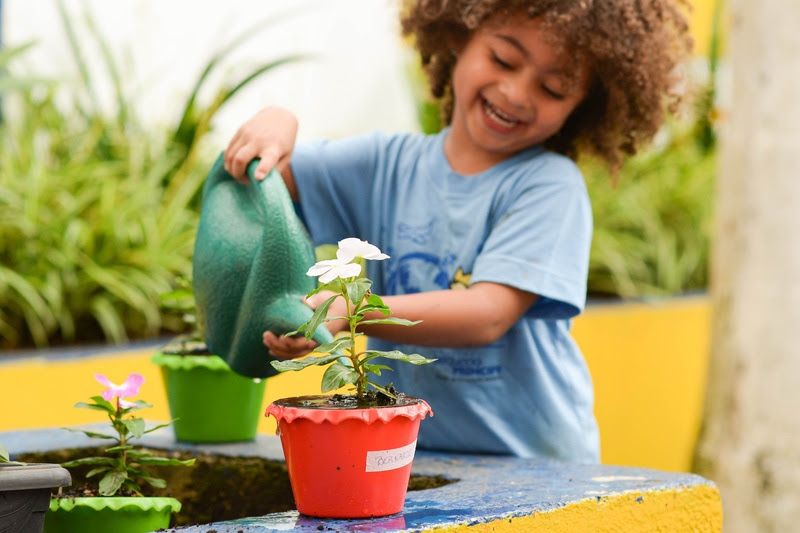 Pequeno Príncipe se torna a primeira instituição de saúde do Brasil a adquirir créditos de biodiversidade